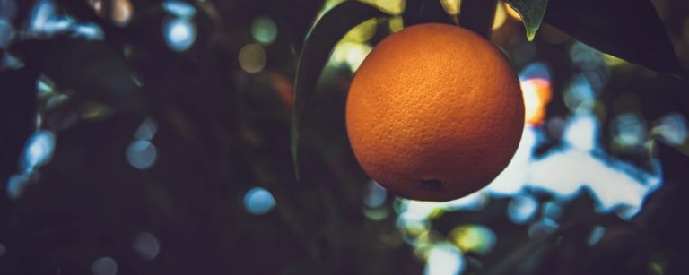 Vitamin c