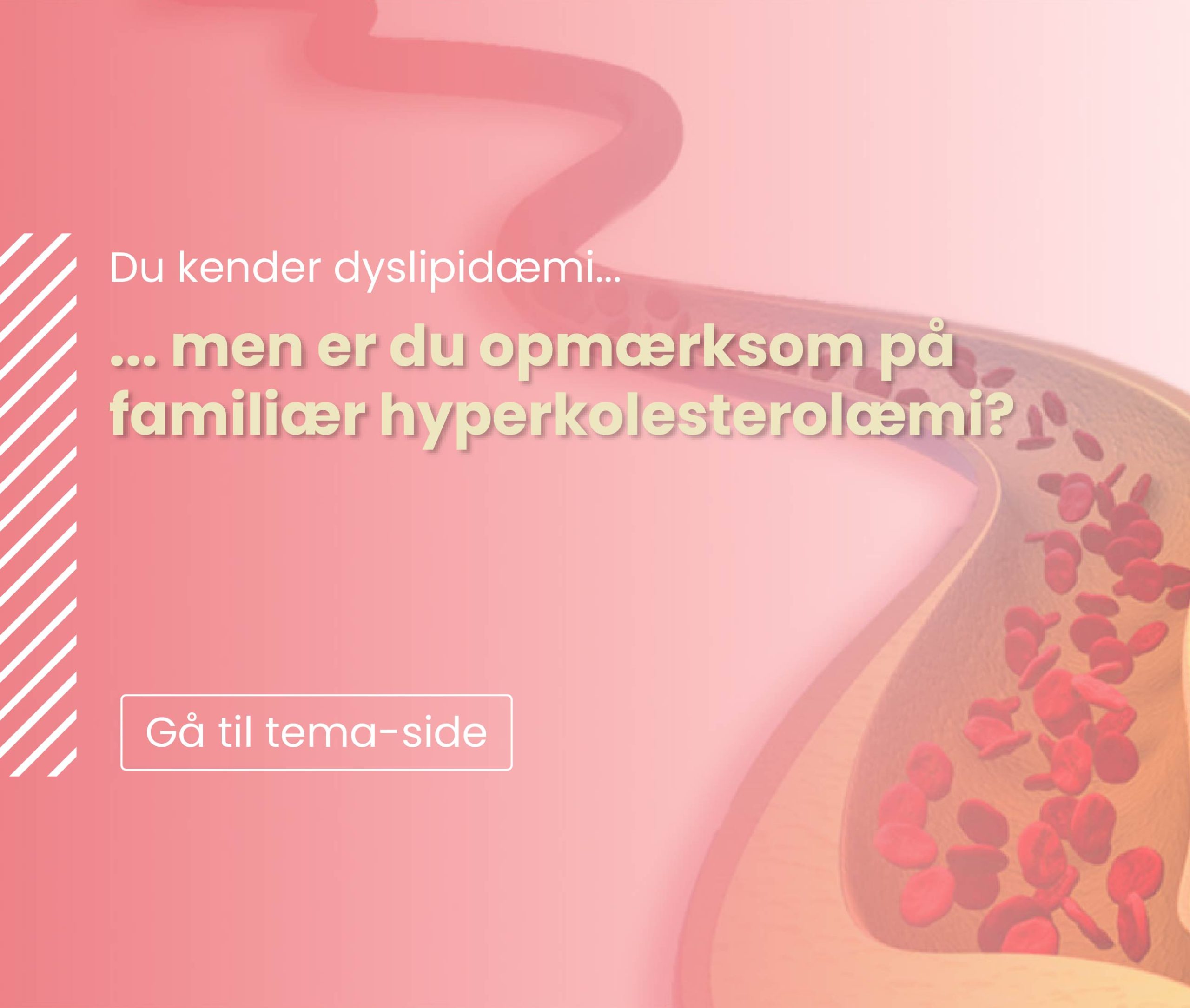 Gå til temaside - dyslipidæmi