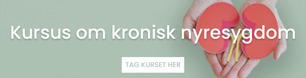 Kronisk Nyresygdom Banner